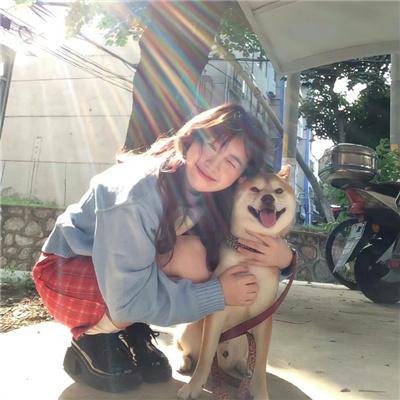 鳄鱼藏尸日记
