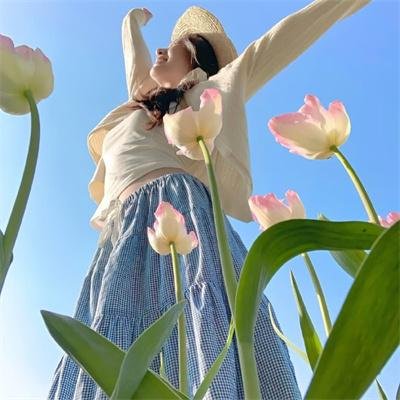 机动战士高达 逆袭的夏亚